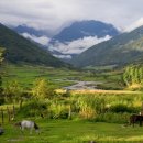 (주)아루 이미지