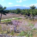 사대천왕