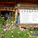 원미식당 이미지