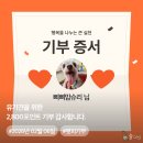 본말감자탕고강
