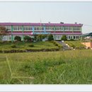 신영초등학교 이미지