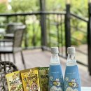 지에스25 삼척임원항 이미지