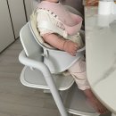스마일쿡 - 군포시 | 싸이벡스 레모 하이체어 뉴본세트부터 써온 내돈내산 후기 장단점