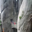 황산호 Daum카페