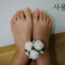 메디레스큐 | 발각질 무좀엔 메디좀