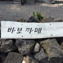 바보까페 네이버블로그