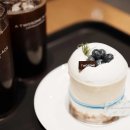 홀리 쏠