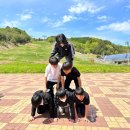 무주덕유산유스타운 이미지