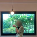 EKLIM(이클림)