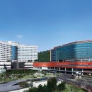 분당-300 이미지