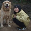 사진 보정하기(Luminar AI 활용) 이미지