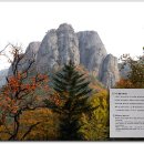 ♣10/16~17(토/일)가을 최고의 단풍 산행지 주왕산 절골 단풍과 주산지 투어 이미지