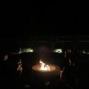 종달새 노래할 때 이미지