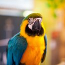 추억농장 이미지