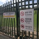 영신군이이묘 이미지