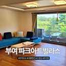 파크아트빌라스E | 대형 펜션 부여 파크아트빌라스 후기, 생각보다 괜찮았던 이유