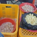 황토축산 이미지