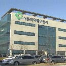 메트린 이미지