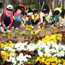 서초구립 반포1동주민센터 이미지