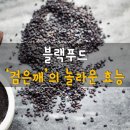 블랙푸드
