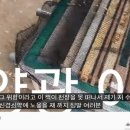 꿀벌태양광발전소 이미지