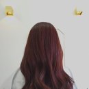 오늘염색 이미지