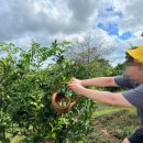 금오름농장 이미지