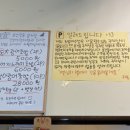 초밥어선생