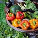 합천나우누리펜션 이미지