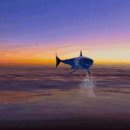 메타로라 이미지