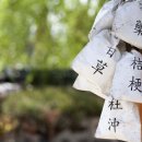 메가한의원 이미지