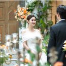 스튜디오헤세드 | 토브 헤세드 본식스냅 나비아 스튜디오 계약 후기!