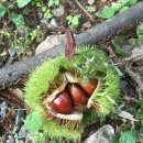 캠핑포유캠핑장 이미지