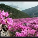 일상탈출펜션 이미지