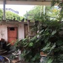 서귀동-10 이미지