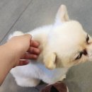 고덕24시 동물병원 이미지