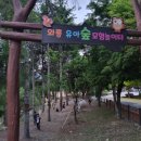 와룡자연휴양림자동차야영장 네이버블로그