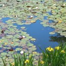 나비공원　 이미지