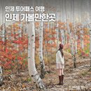 만해로 | 강원도 인제 가볼만한곳 인제여행 백담사 원대리 속삭이는 자작나무숲 투어패스
