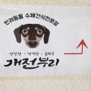 개전부리 네이버블로그