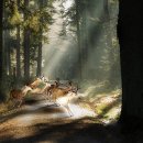 울산부부한의원 이미지