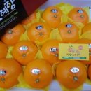 현승농장 이미지