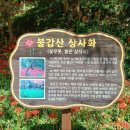 불갑사관광지 주차장 이미지