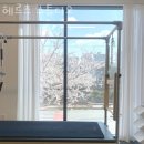 헤르츠필라테스