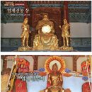 기후 위기, 인류의 생존이 걸려있다고? | STB 동방신선학교 특집 생존의 비밀 - 인류 문명사를 바꾼 전염병과 실체