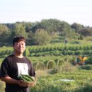 도연2호 이미지