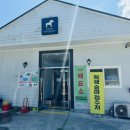 태권목장 이미지