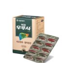 마인드플러스 | 간에 좋은 우루사? 우루샷 플러스! 마인드카페까지 심신건강 챙기기