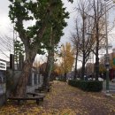 개판살판 이미지