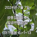 2024년 7월 7일 주일예배 사진 이미지